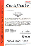 2007: OHSAS 18001